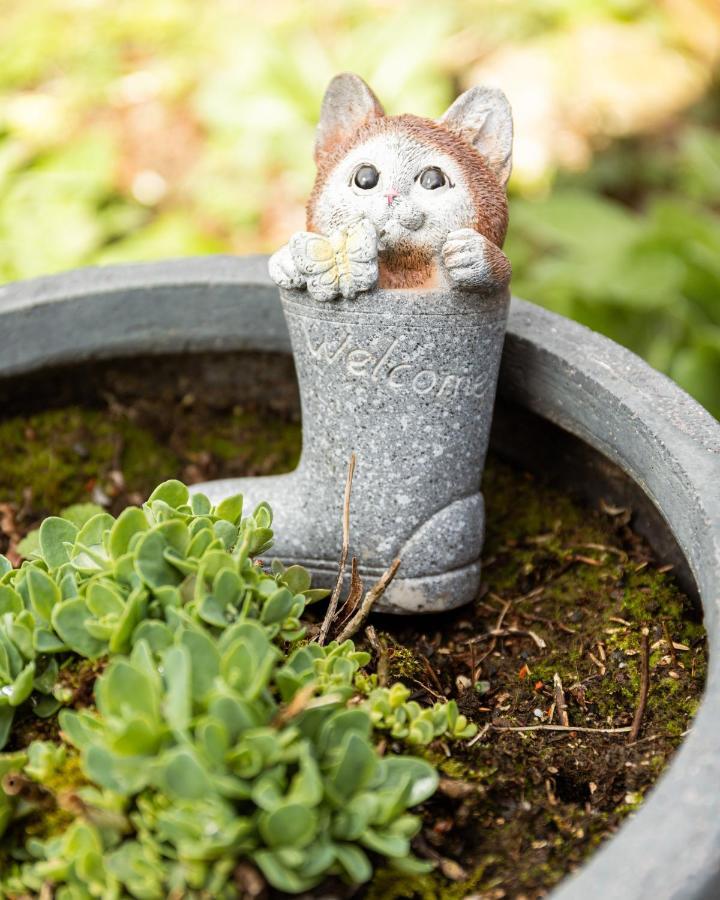 Studio Bienvenue Du Cote De Chez Nous Avec Jardin Privatif Wignehies Eksteriør billede