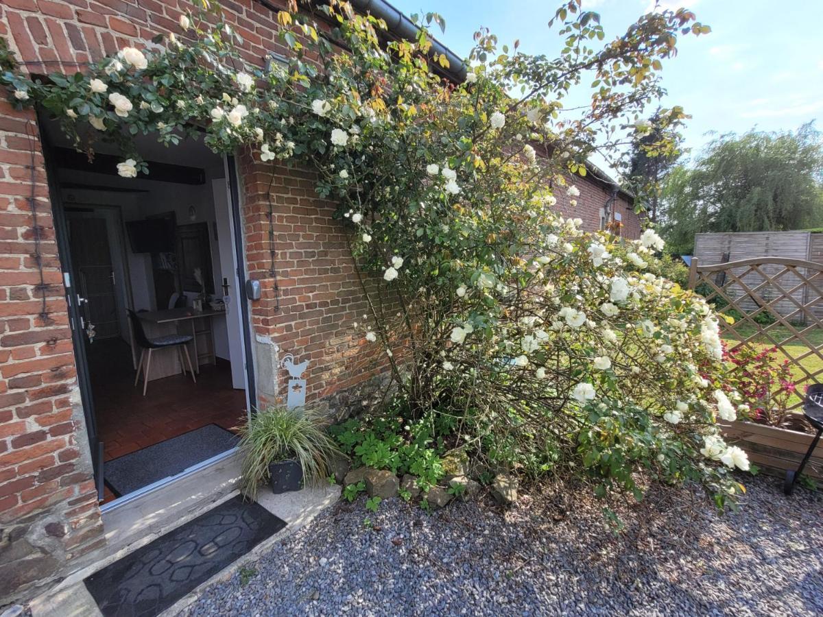 Studio Bienvenue Du Cote De Chez Nous Avec Jardin Privatif Wignehies Eksteriør billede